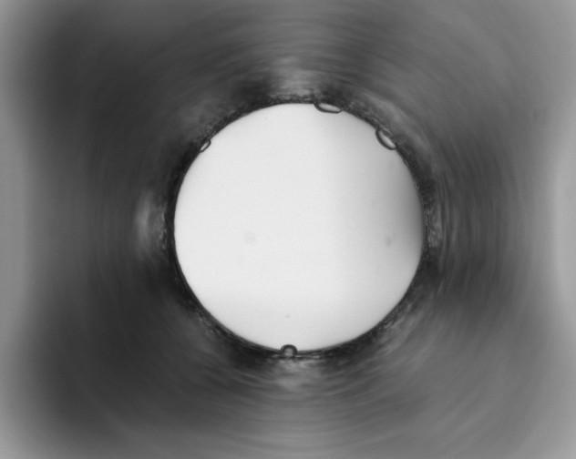 X0000093510560200711091723