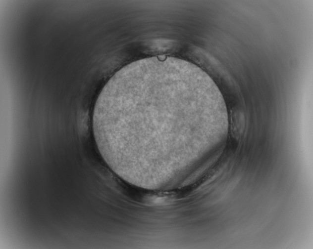 X0000093510563200711091723