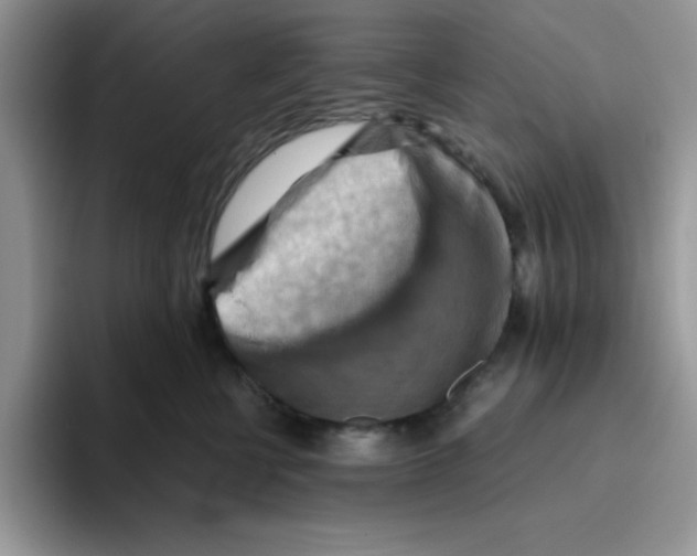 X0000093510570200711091723