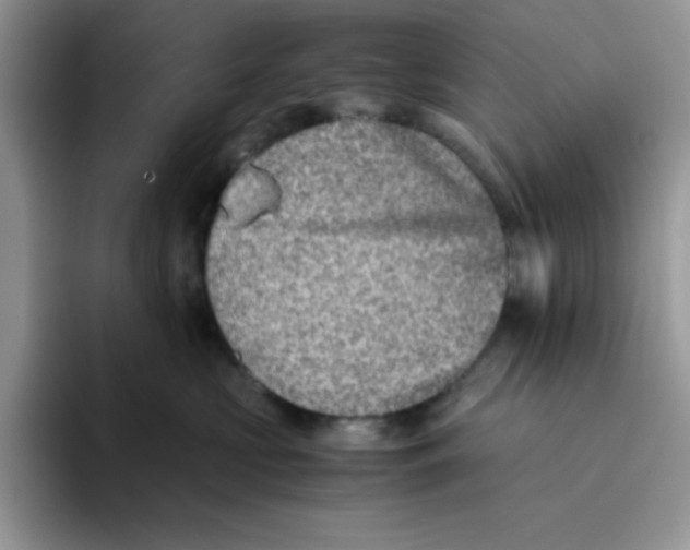 X0000093510573200711091723