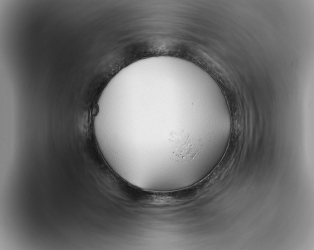 X0000093510605200711091723