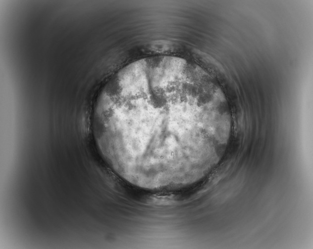 X0000093510606200711091723