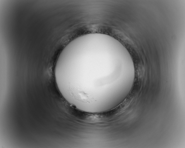 X0000093510611200711091722