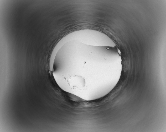 X0000093510613200711091722