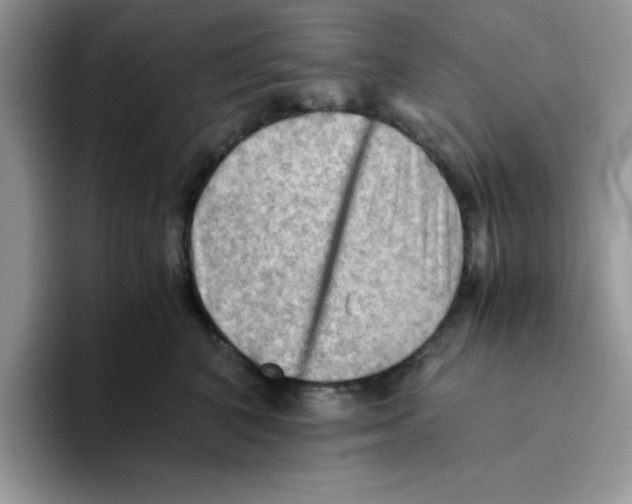 X0000093510616200711091722