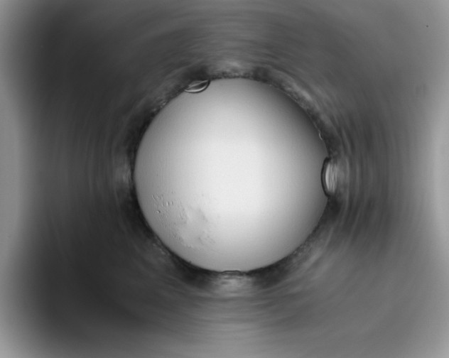 X0000093510617200711091722