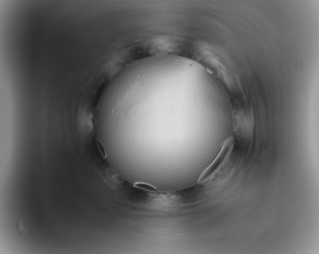 X0000093510621200711091722