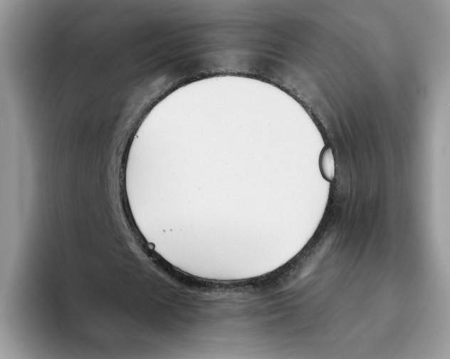 X0000093510625200711091722