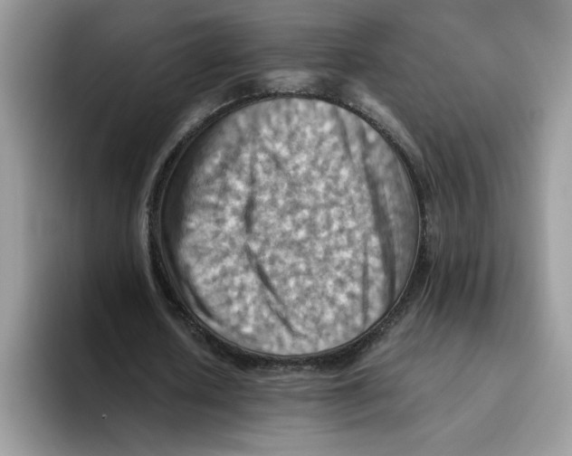 X0000093510626200711091722