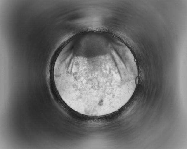 X0000093510630200711091722