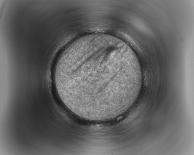 X0000093510634200711091722