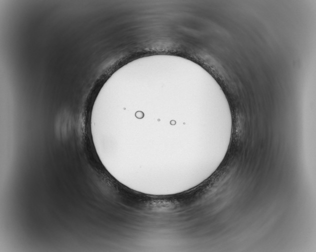 X0000093510636200711091722