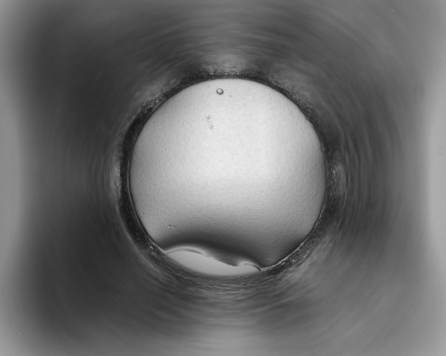 X0000093510638200711091722