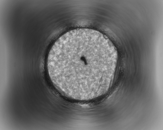 X0000093510640200711091722