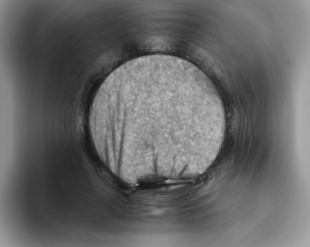 X0000093510643200711091722