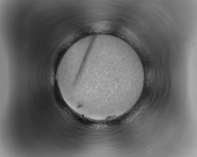 X0000093510644200711091722