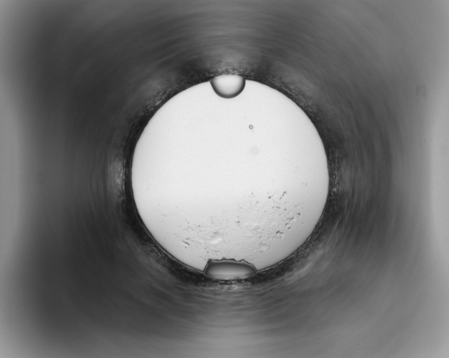 X0000093510646200711091722