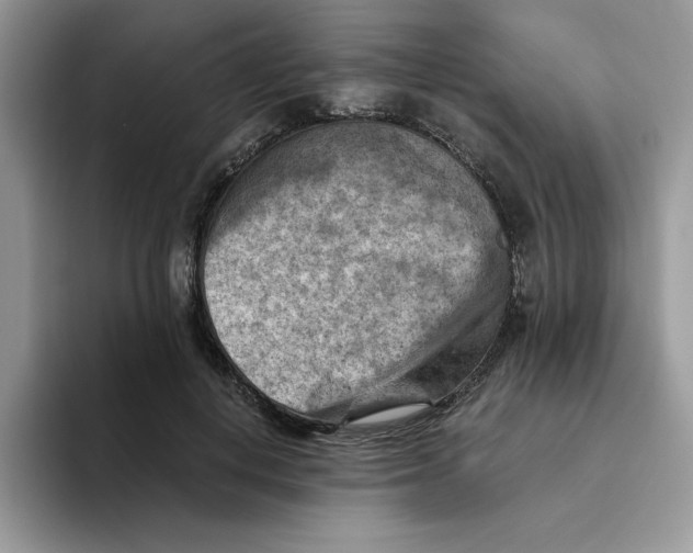 X0000093510648200711091722