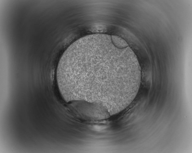 X0000093510652200711091722