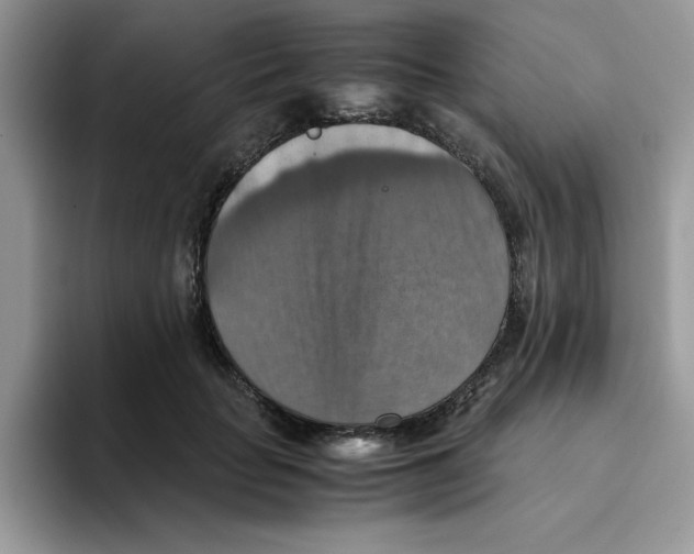 X0000093510653200711091722