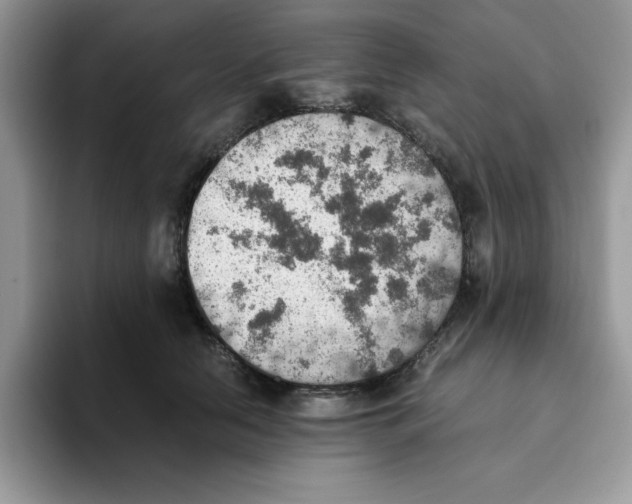 X0000093510658200711091722