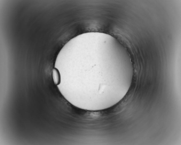 X0000093510665200711091722