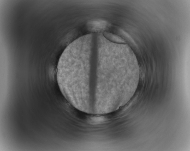 X0000093510669200711091722