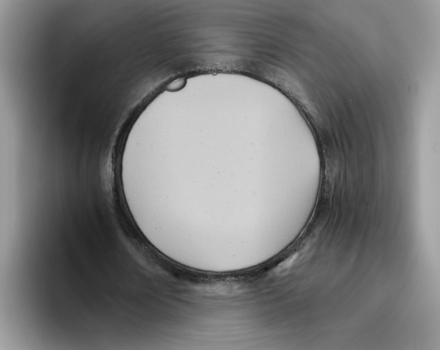 X0000093510674200711091722