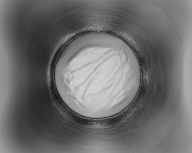 X0000093510678200711091722