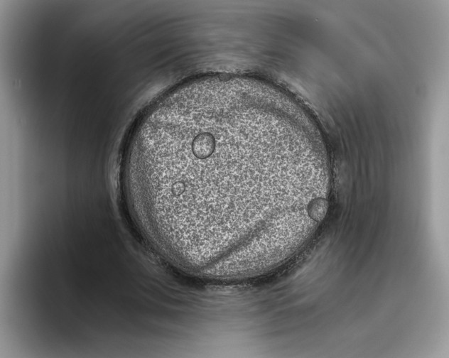 X0000093510679200711091722