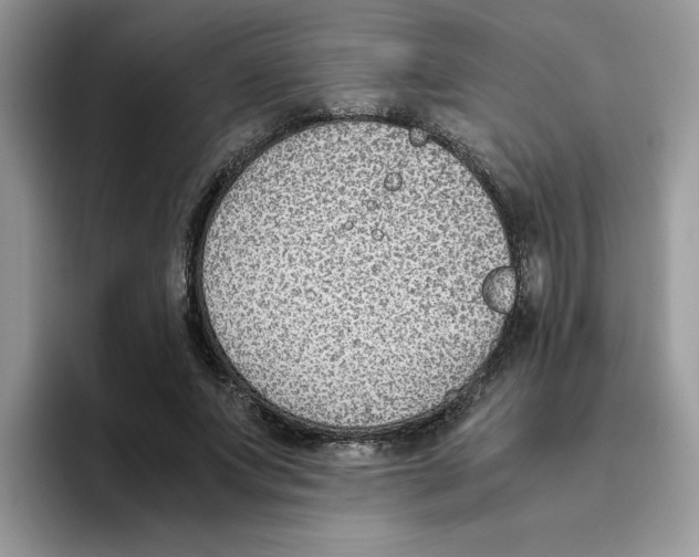 X0000093510687200711091722