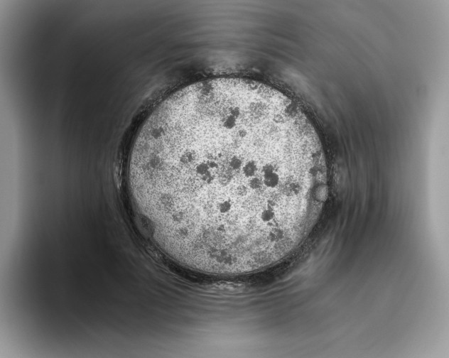 X0000093510691200711091722