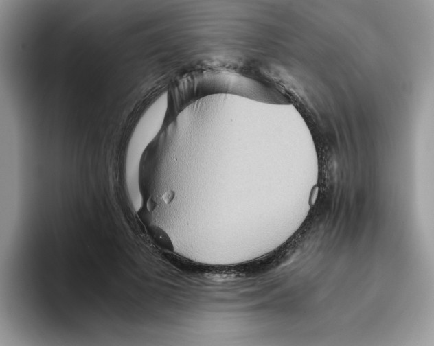 X0000093510693200711091721