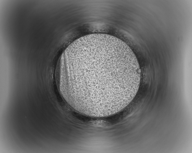 X0000093510695200711091721