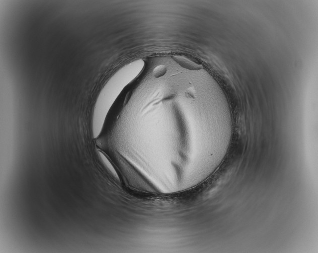 X0000093510697200711091721