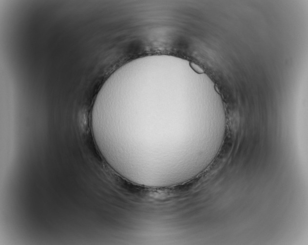 X0000093510709200711091721