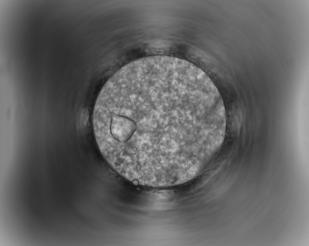 X0000093510711200711091721