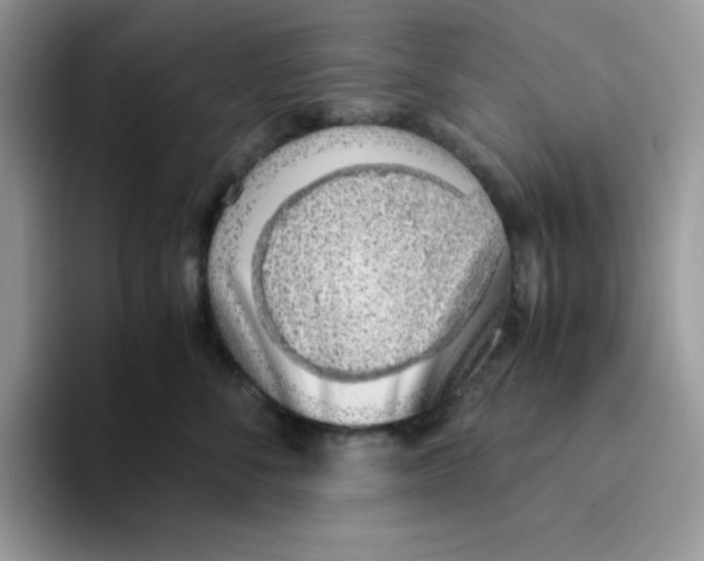 X0000093510716200711091721