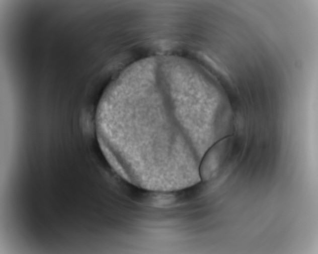 X0000093510719200711091721