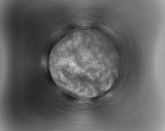 X0000093510720200711091721