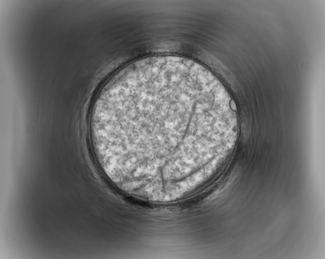 X0000093510721200711091720