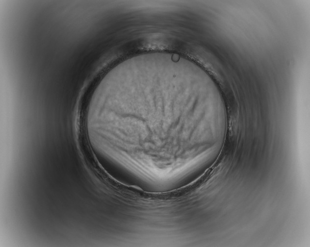 X0000093510722200711091720