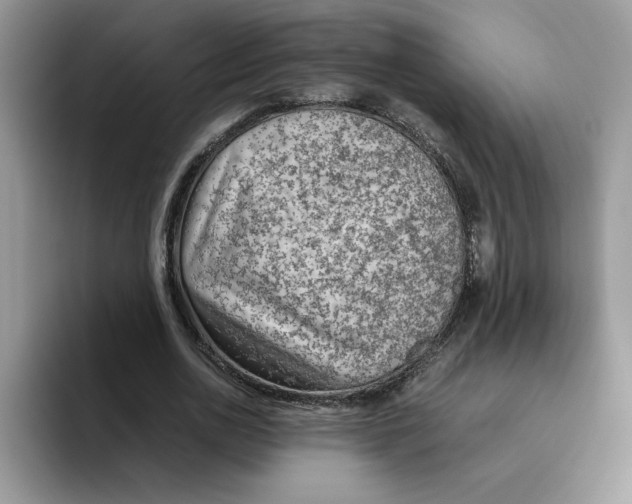 X0000093510726200711091721