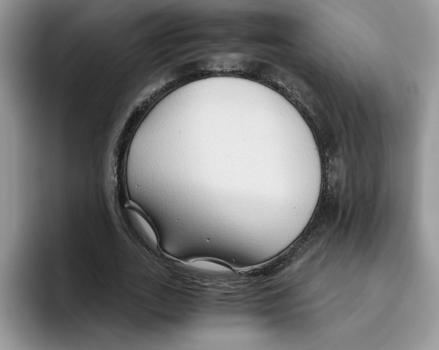 X0000093510727200711091721