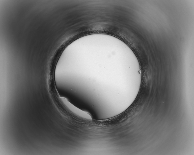 X0000093510728200711091721