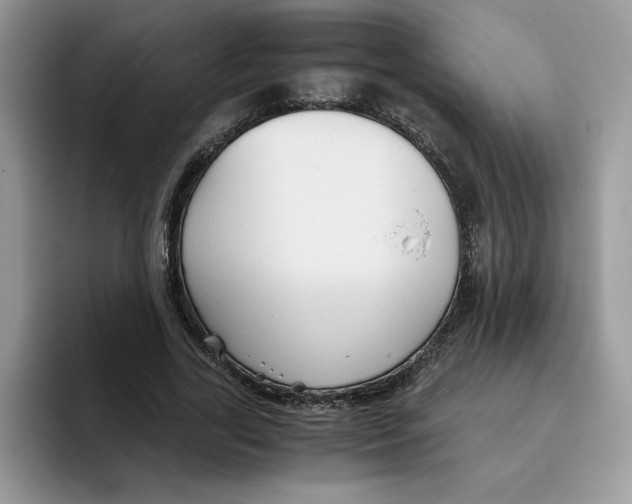 X0000093510731200711091721