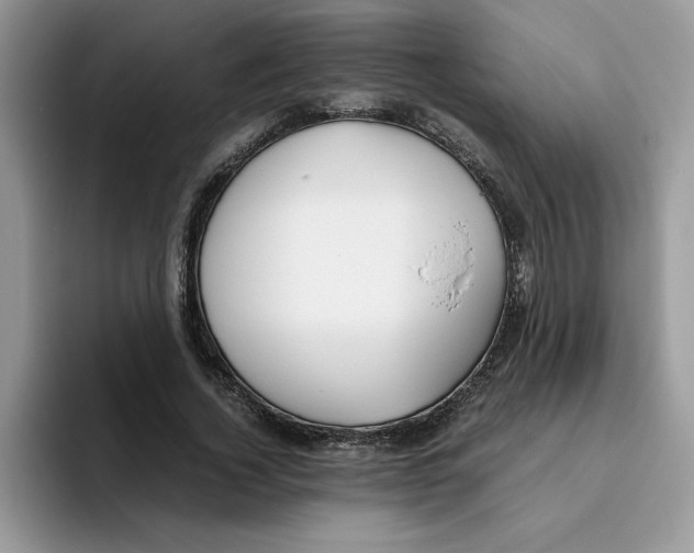 X0000093510732200711091721