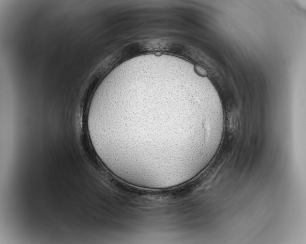 X0000093510733200711091721