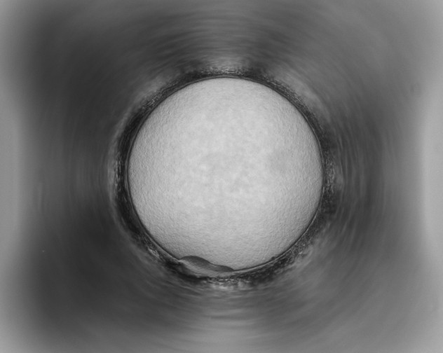 X0000093510736200711091721