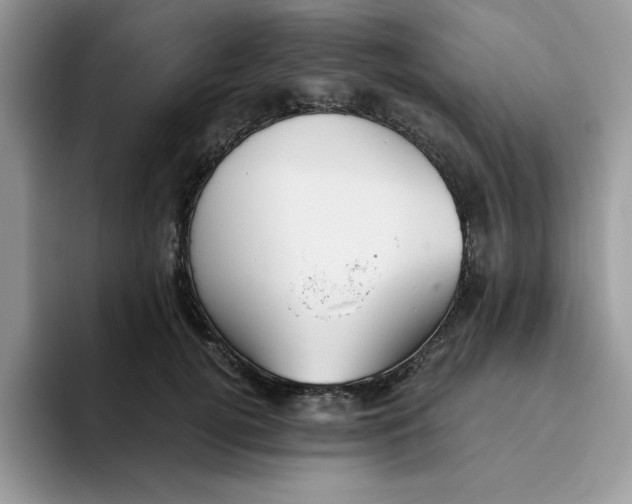 X0000093510752200711091721